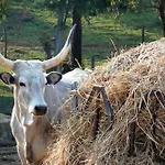 Marzia - La Valentina Farmház Talamone