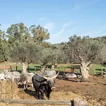 Farmház Marzia - La Valentina Talamone