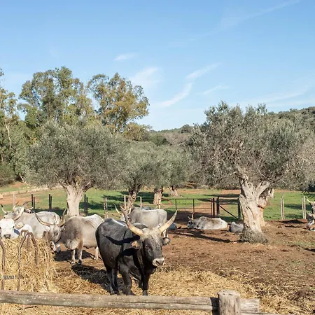 Farm stay Marzia - La Valentina
